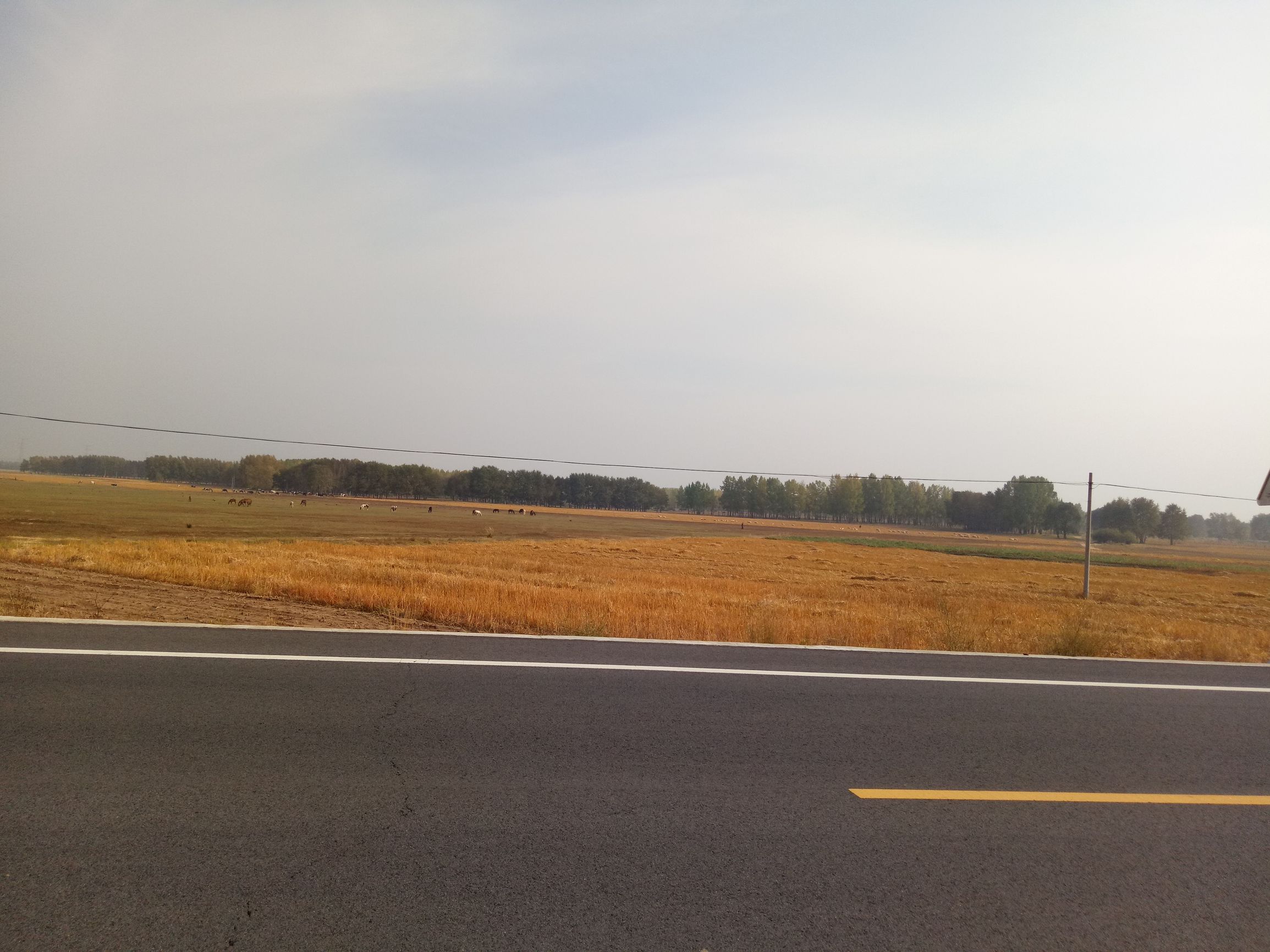 张北天路行,深度还原张北天路