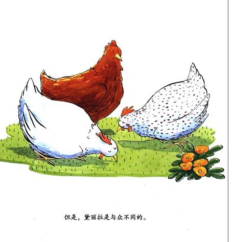 鸡绘本,关于母鸡的绘本推荐
