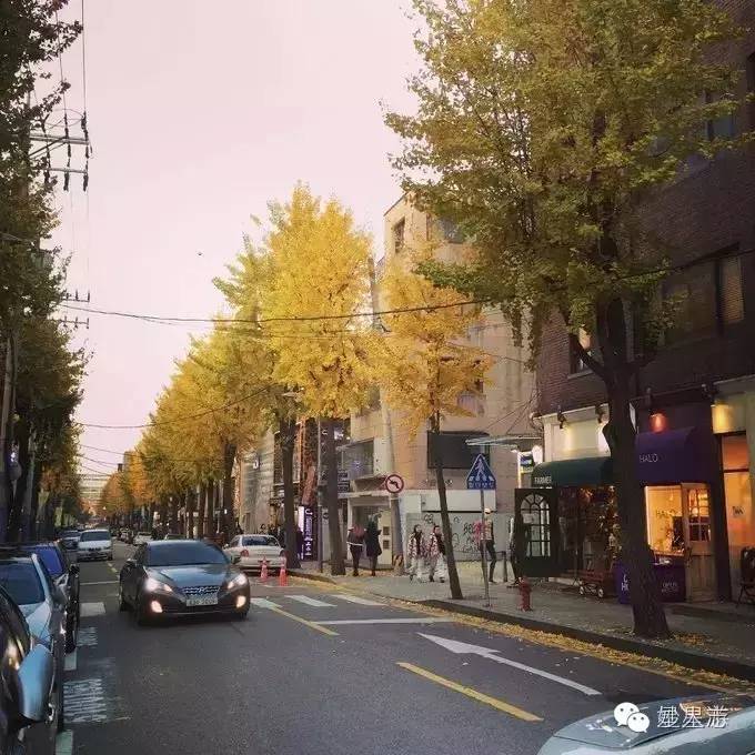 韩国首尔最强攻略,首尔如何购物便宜