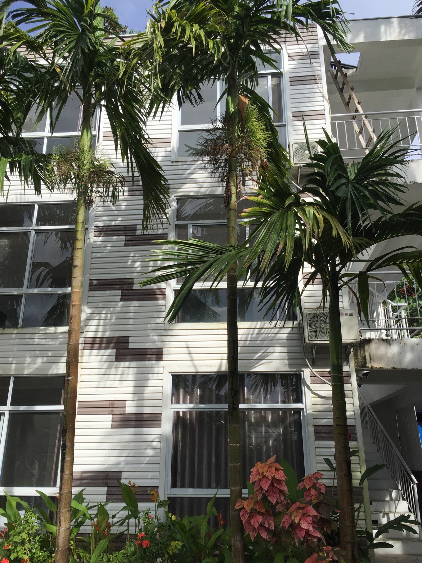 帕劳旅行攻略大全图文,帕劳旅行攻略图文大全