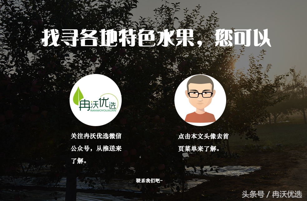 浙江临安山核桃,浙江临安笋干山核桃