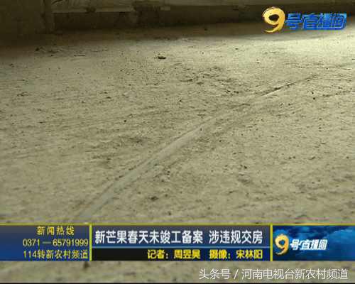 什么芒果是又脆又甜的,什么芒果又香又黄