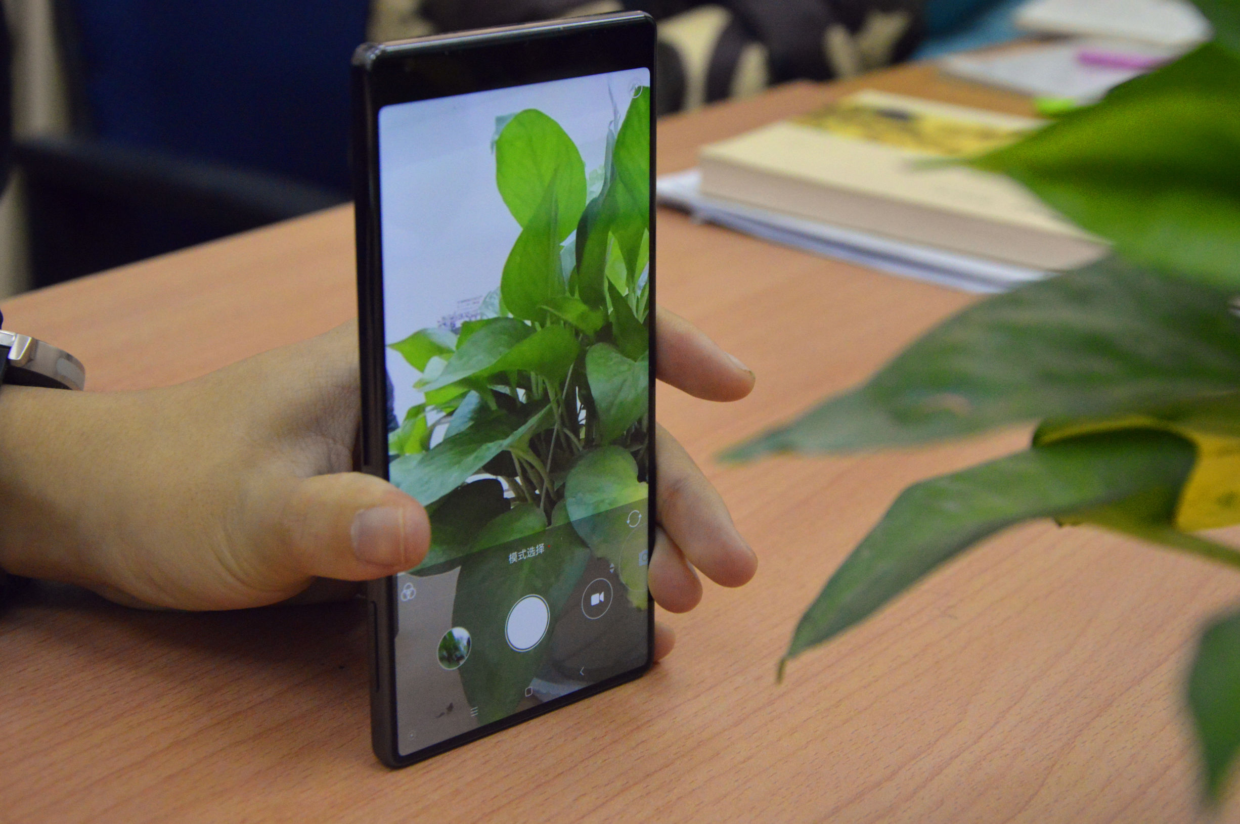 taster手机是什么意思,taster值得买吗