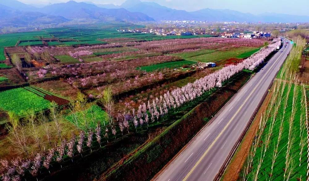 追赶超越|长安,永康书记叫你“绿富美”