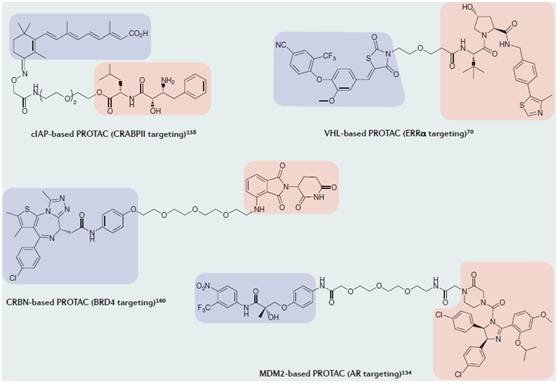 雨里：小分子药物发现的新技术和新思维