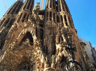 法兰西板鸭,板鸭西班牙语