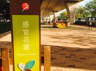 香港旅游攻略100条,探秘香港生活