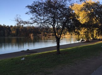 美加自驾游,美加跨境自驾游