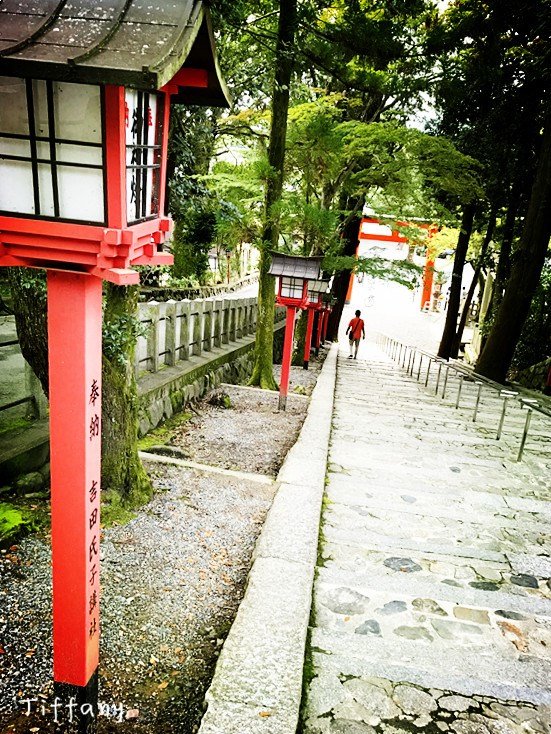 11月京都红叶游记,京都红叶两日游