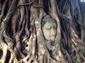 5月去泰国涛岛,几月去泰国旅游苏梅岛