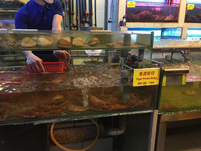 暑假新加坡马来西亚自由行,寒假带孩子去新加坡游玩攻略