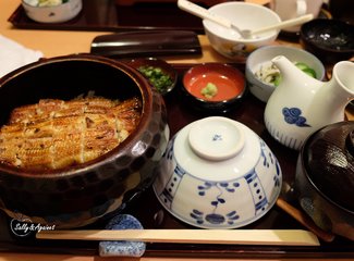 带着24个月小囡十一寸又峡寻密+东京+镰仓伊豆+横渡骏河湾观富士山+附详细交通攻略