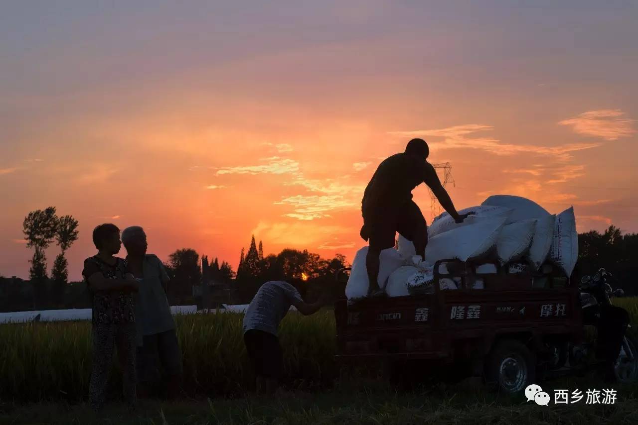 中国美劳动美主题摄影,劳动最美摄影大赛作品护士