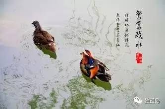 得成比目何辞死，愿作鸳鸯不羡仙自沉颍水的卢照邻和他的诗