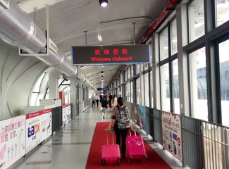 千禧号游轮,千禧号成功了吗