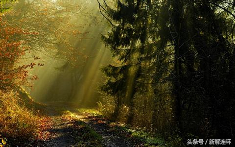 芳龄民间故事,民间故事隔世情缘