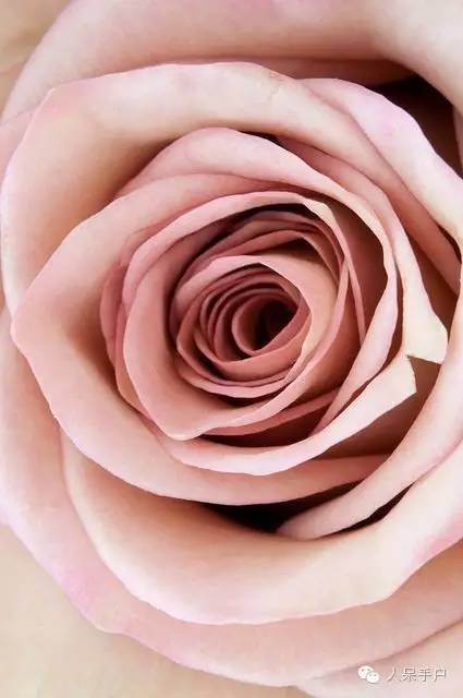 涓浗鍥借姳澶ц祻鍥剧墖,鍥借姳澶ц祻浜氭床鍥剧墖