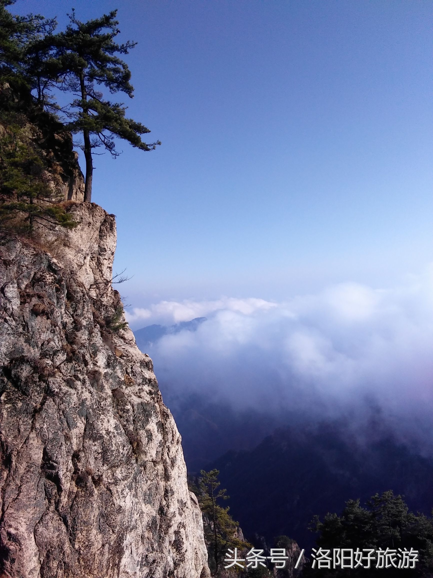 洛阳景区的官方导游词,洛阳老君山导游词4分钟