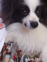 鼻炎真菌感染一般是什么真菌,真菌性鼻炎是鼻癌吗