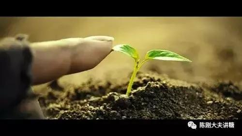 2型糖尿病新诊断用什么方法治疗最理想?