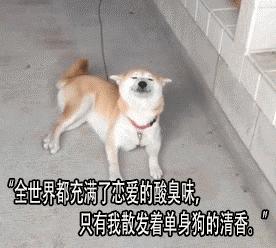 还在羡慕别人家的男朋友,别羡慕别人男朋友送礼物