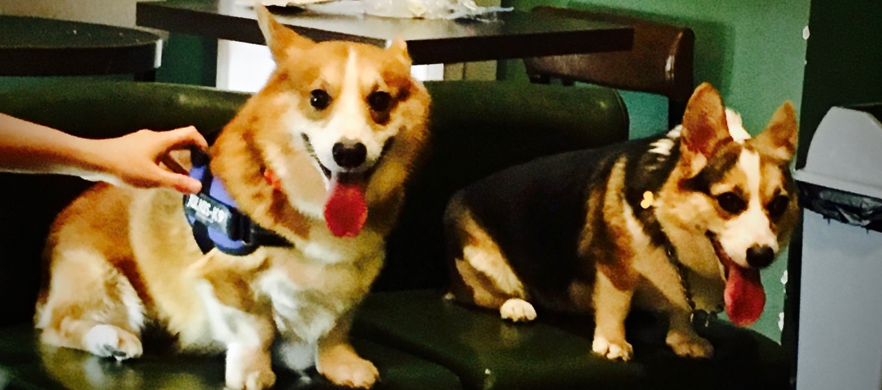 短腿男神蹭吃蹭喝欢乐多，“贱”装出席女票的生日派对