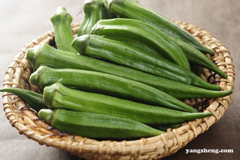 食者们不要再被秋葵忽悠了真相在这