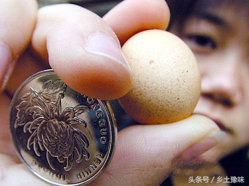 农村老母鸡下了铁蛋，得赶紧扔掉，不然会有厄运！