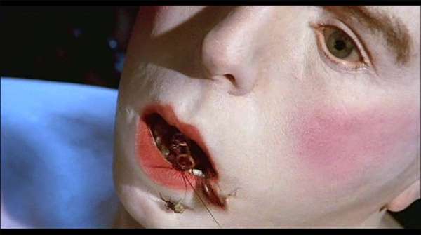 全球十大恐怖禁书改编的电影,根据真实改编的恐怖电影