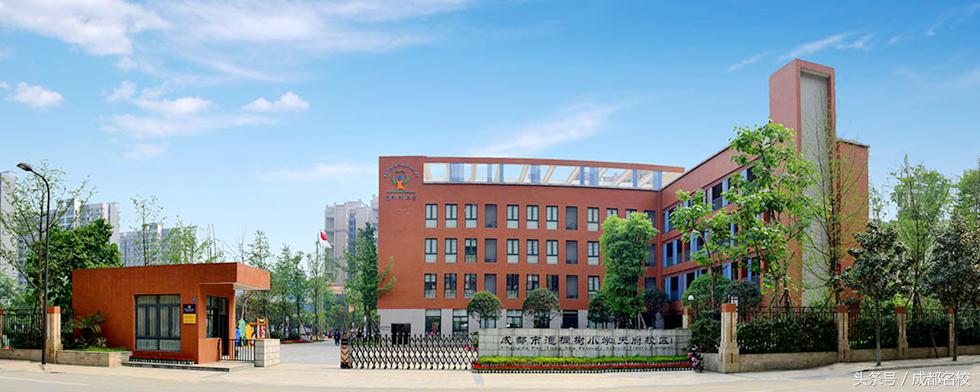 高新最好的小学有哪些,高新区小学最好的是哪个学校