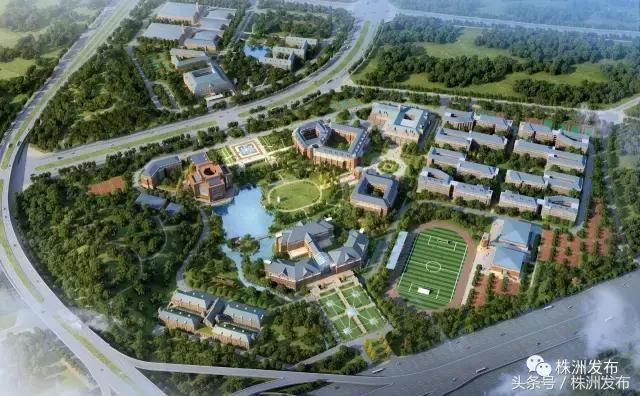 2019株洲改造工程,株洲路改造最新消息