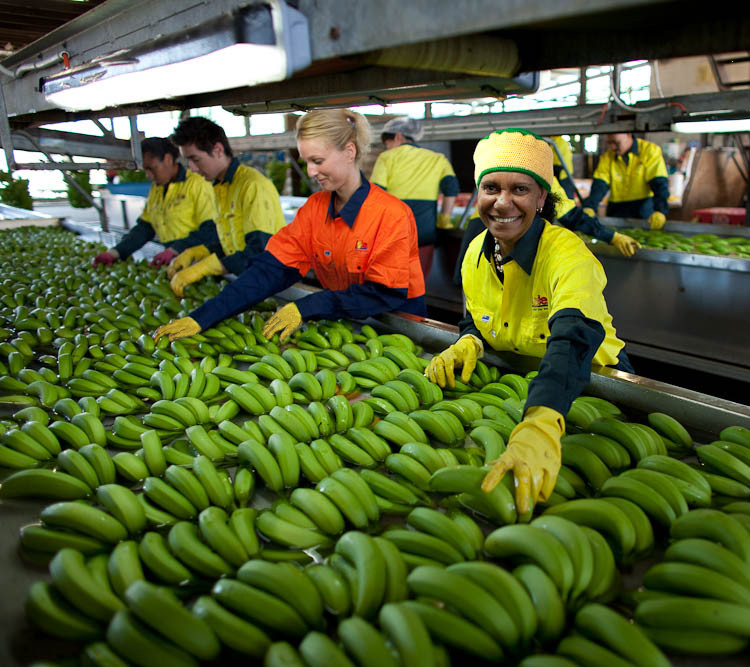该国*器武**采购弃美投俄？需要多少香蕉来换呢？