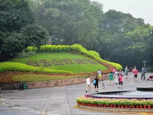 广州最便宜实惠的美食,广州一日游必备十大美食