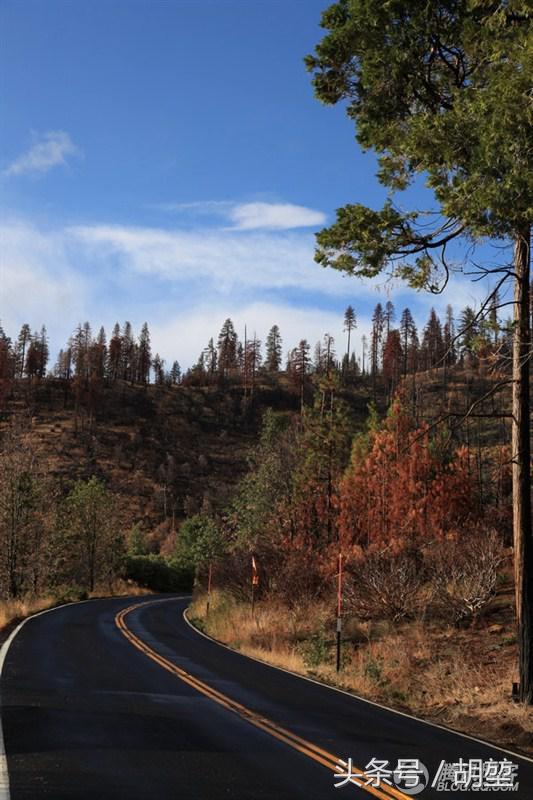 加利福尼亚美洲公园,加利福利亚国家公园
