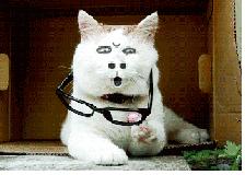 近期肇庆下雨原因,肇庆最近为什么下雨