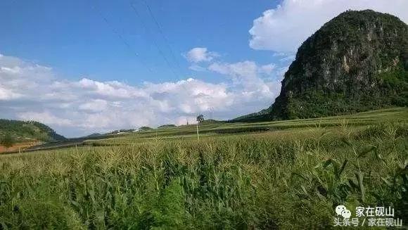 砚山由来,砚山取名