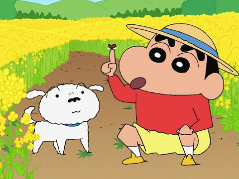 为什么蜡笔小新永远是五岁,蜡笔小新为什么永远都是五岁