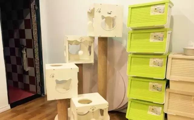 成都宠物寄养基地,成都狗狗寄养