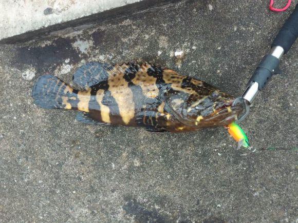 钓鱼时，不小心鱼钩刺进肉里，教你如何不疼的取出来