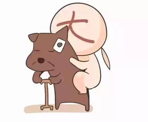 狗狗屁股一直流血是怎么了,狗狗口吐白沫屁股流血是怎么回事