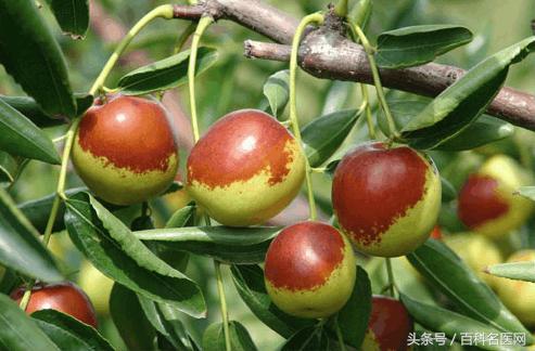 慢性胃炎伴有糜烂不能吃的水果,慢性胃炎什么水果对胃好更养胃