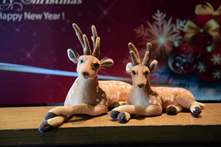 上海迪士尼乐园,上海迪士尼游记