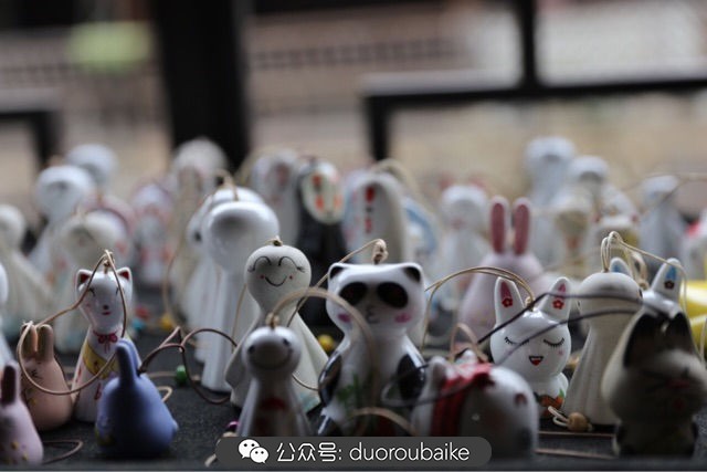 古镇寻肉记:那些旅行中遇见的植物!