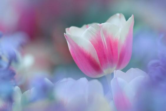 鼻头长痘如何化解,鼻头长痘的原因