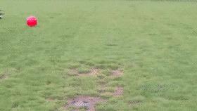 搞笑瑜伽球翻滚,瑜伽球搞笑