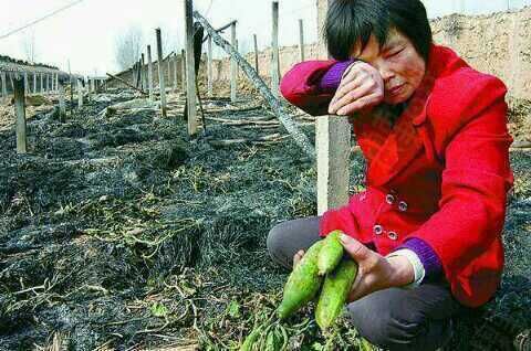 元宵节临近，聊城晚报呼吁大家：请别燃放孔明灯