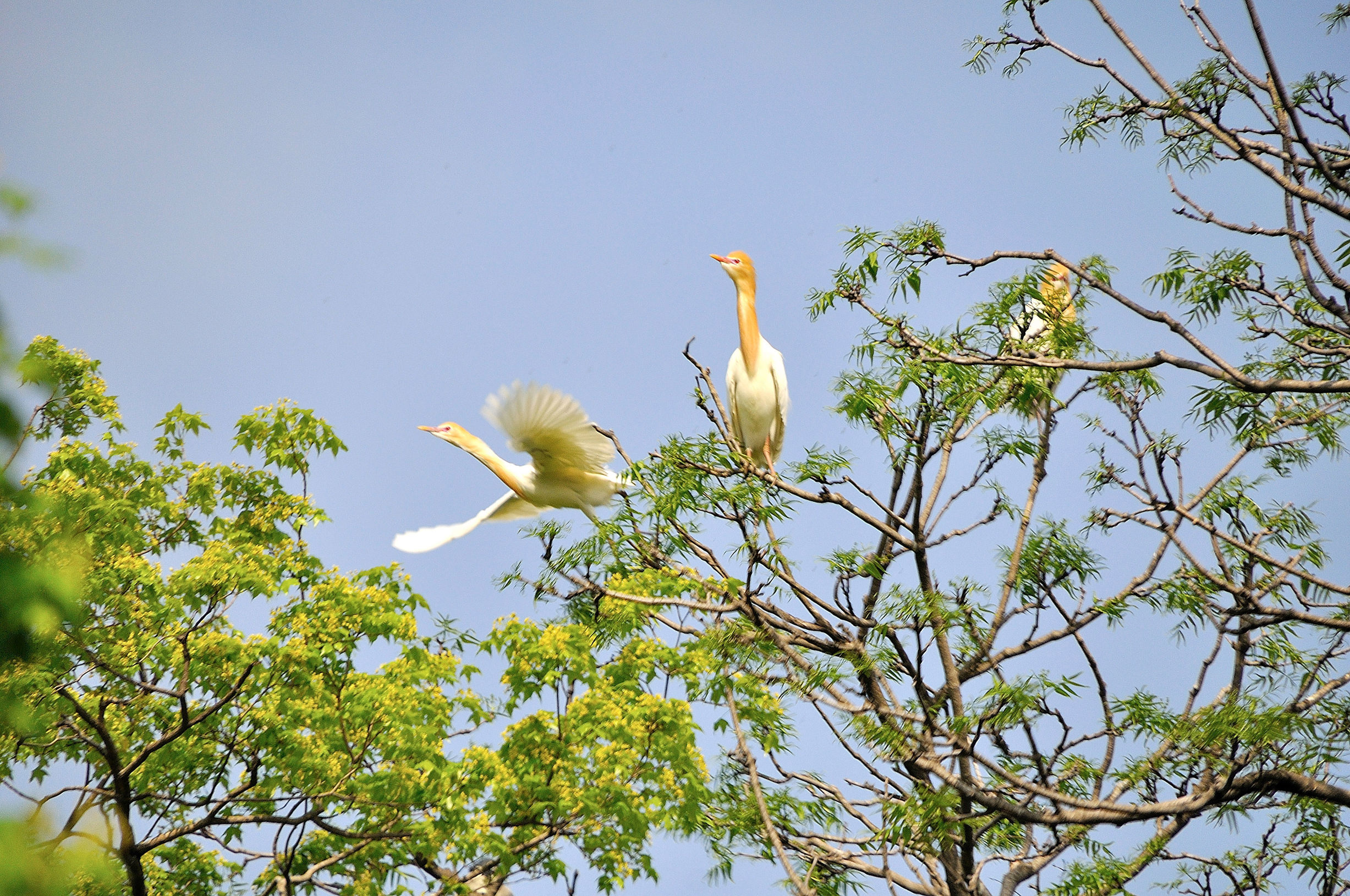 丹东风光无限,丹东风光视频