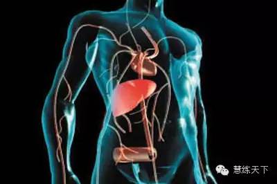 脂代谢紊乱运动处方：四个月还你健康体魄