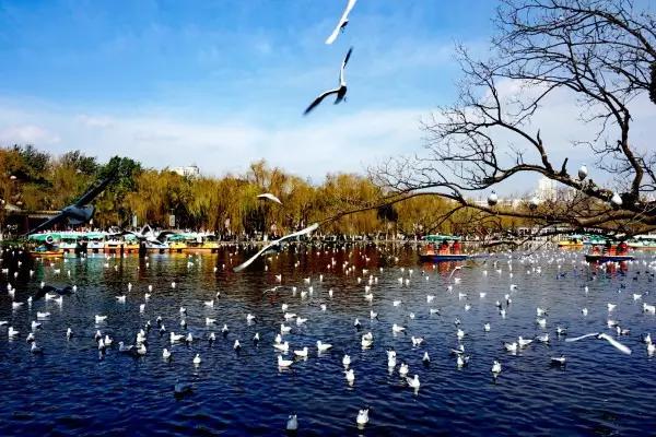 哪里飞武汉机票最便宜,飞武汉机票降价
