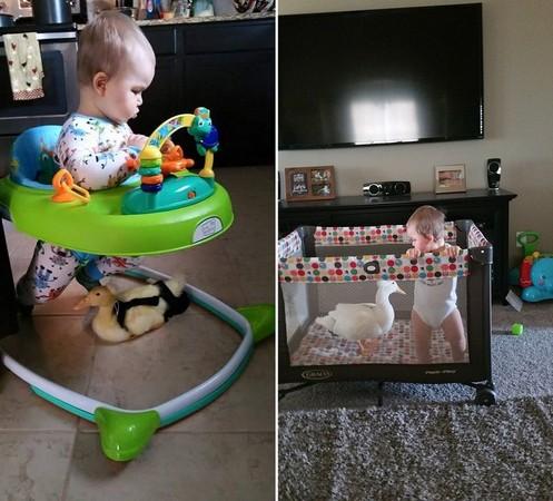 男宝宝小游戏玩具,男宝宝小游戏